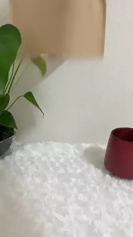 みきねえコマース🎙️🌸✨のTikTok投稿