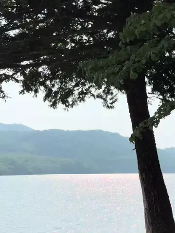 まりのTikTok投稿