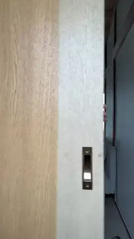セイノヒカルのTikTok投稿