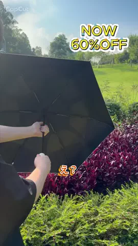 Harmony Dusk LivingのTikTok投稿