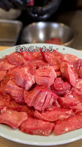 のりなな｜尾張グルメ＆親子おでかけ情報のTikTok投稿