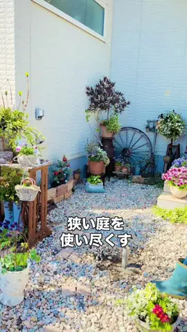 きの子　（小さな庭・DIY）のTikTok投稿