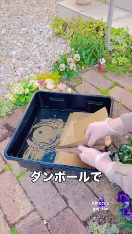 きの子　（小さな庭・DIY）のTikTok投稿