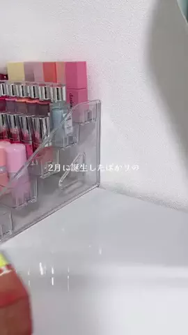 amのTikTok投稿