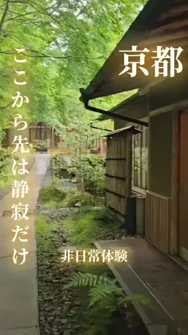 寝不足夜更かしバリトンのTikTok投稿