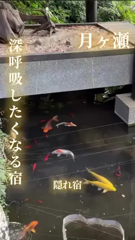 寝不足夜更かしバリトンのTikTok投稿