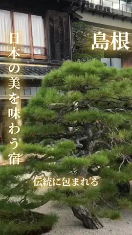 寝不足夜更かしバリトンのTikTok投稿