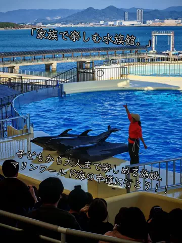 寝不足夜更かしバリトンのTikTok投稿
