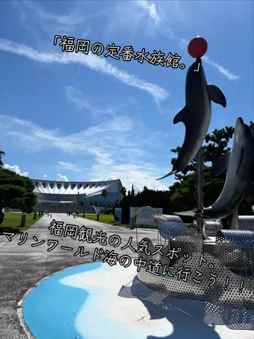 寝不足夜更かしバリトンのTikTok投稿