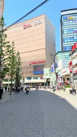 ぎゃらぴかのTikTok投稿
