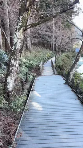 おとけしきのTikTok投稿