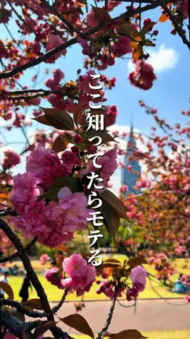 まさと | 東京発デートのTikTok投稿