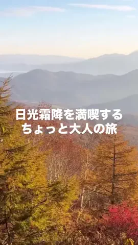 茨城と栃木の県境に住んでいますのTikTok投稿