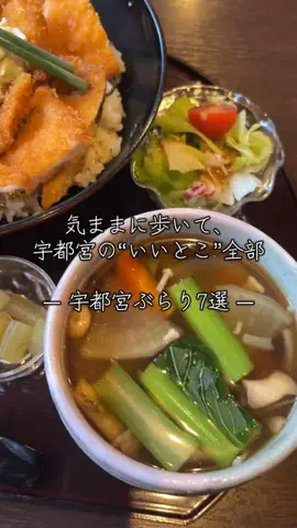茨城と栃木の県境に住んでいますのTikTok投稿