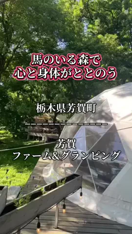 茨城と栃木の県境に住んでいますのTikTok投稿