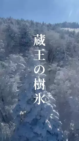 茨城と栃木の県境に住んでいますのTikTok投稿