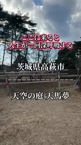 茨城と栃木の県境に住んでいますのTikTok投稿