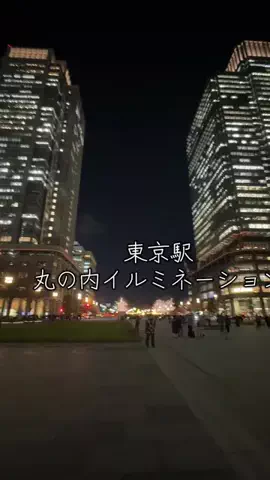 茨城と栃木の県境に住んでいますのTikTok投稿