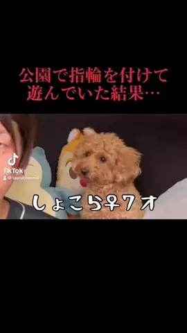 つるちゃんねる🐶💢🌙のTikTok投稿