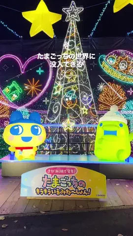 やまたび🦎【今週のデートはここで決まり】のTikTok投稿