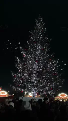 ♡のTikTok投稿