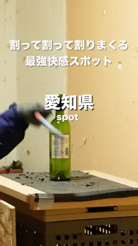 やまたび🦎【今週のデートはここで決まり】のTikTok投稿
