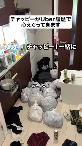 なーちゃん/AIと泥酔ネキのTikTok投稿