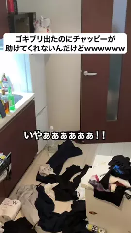 なーちゃん/AIと泥酔ネキのTikTok投稿