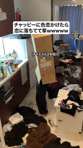 なーちゃん/AIと泥酔ネキのTikTok投稿