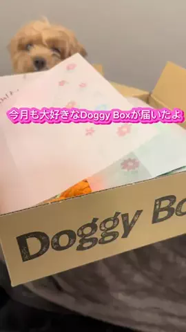 oinusama_1210のTikTok投稿