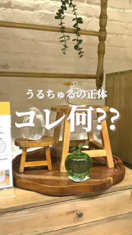はるの𓊆 好きを見逃さない新作雑貨速報 𓊇のTikTok投稿