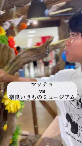 ゆーひのTikTok投稿