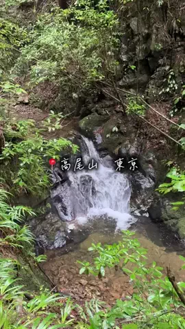 ここ知ってる？のTikTok投稿
