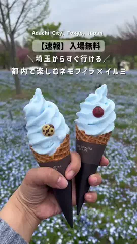 ゴーゴーカワグチのTikTok投稿