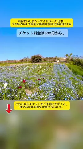Tiengnhat2のTikTok投稿