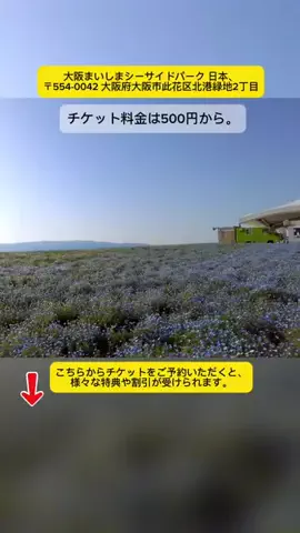 Tiengnhat2のTikTok投稿