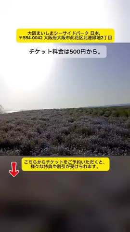 Tiengnhat2のTikTok投稿
