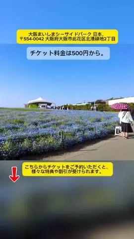 Tiengnhat2のTikTok投稿