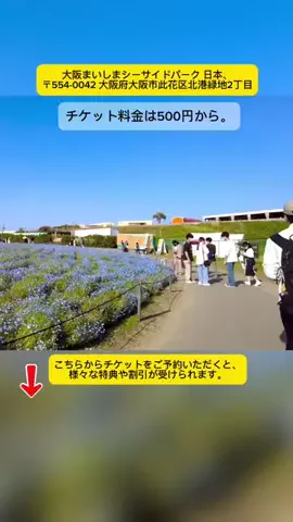 Tiengnhat2のTikTok投稿
