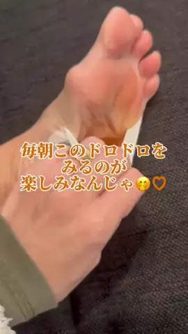 のりたまのTikTok投稿