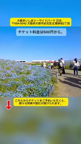 Tiengnhat2のTikTok投稿