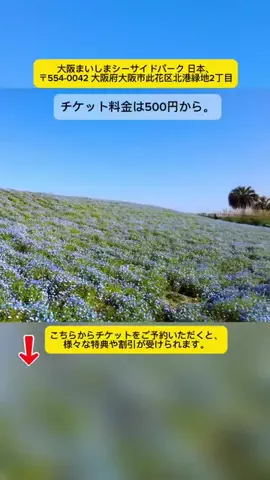 Tiengnhat2のTikTok投稿