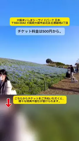 Tiengnhat2のTikTok投稿