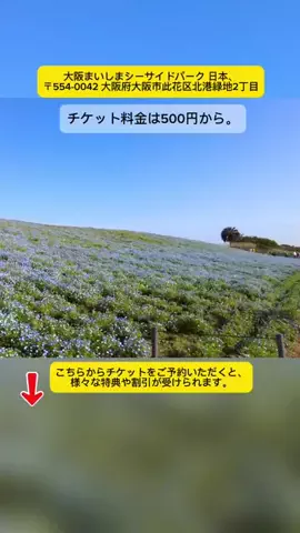 Tiengnhat2のTikTok投稿