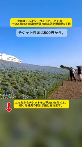 Tiengnhat2のTikTok投稿