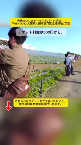 Tiengnhat2のTikTok投稿
