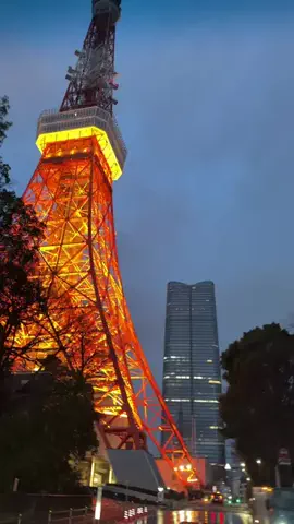 KOBETHEPEKIPOOのTikTok投稿