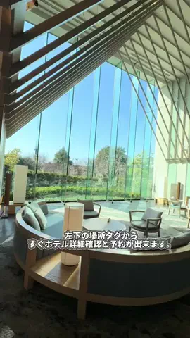 🍪真澄🍠美容料理先生👩‍🏫🍰のTikTok投稿