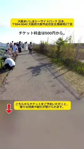 Tiengnhat2のTikTok投稿