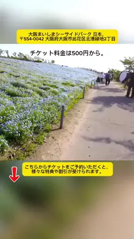 Tiengnhat2のTikTok投稿